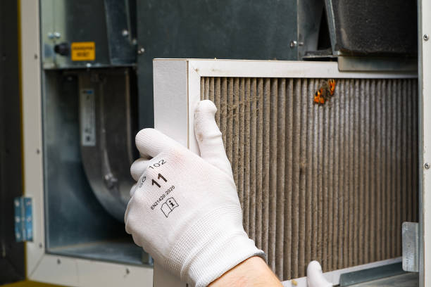 Best HVAC Duct Inspection Services  in Dryden, MI