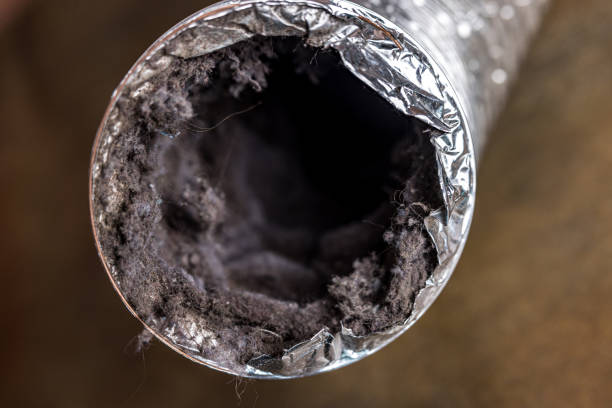 Best Professional Duct Cleaning Services  in Dryden, MI