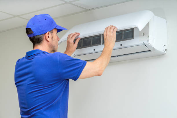Best Affordable Air Duct Cleaning  in Dryden, MI