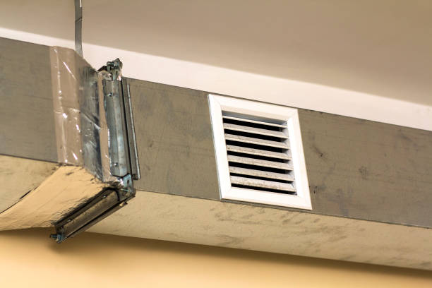 Best Affordable HVAC Duct Cleaning  in Dryden, MI